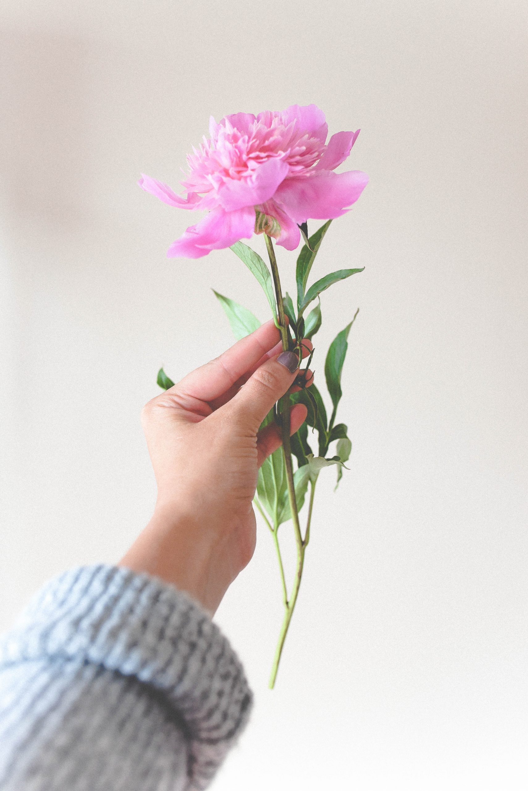paige-cody-JPxdutUGf6w-unsplash Clinical monitoring smartphone app SO-APP for homecare parkinson treatment
